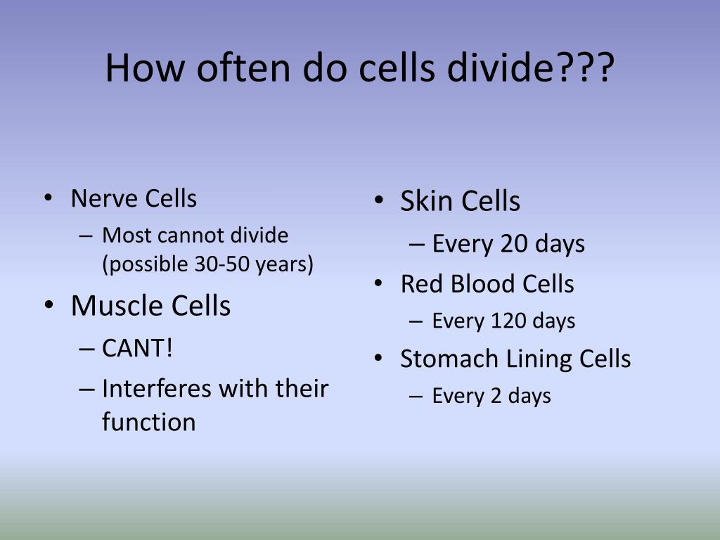 Ppt why do cells divide powerpoint presentation free download id