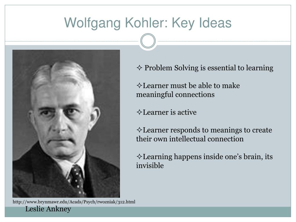 wolfgang kohler problem solving theory