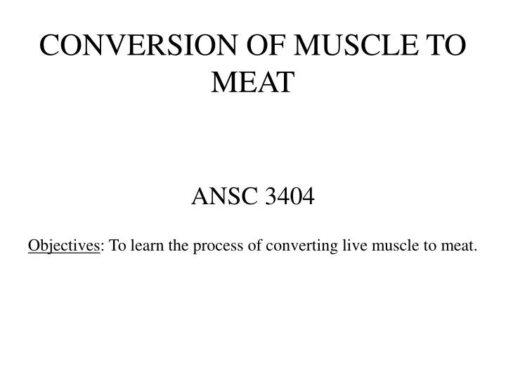 conversion of muscle to meat n.