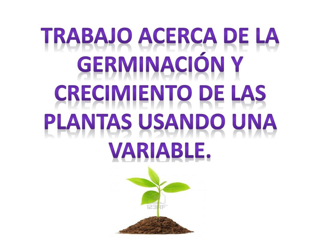 PPT - Trabajo acerca de la germinación y crecimiento de las plantas usando  una variable. PowerPoint Presentation - ID:2158946
