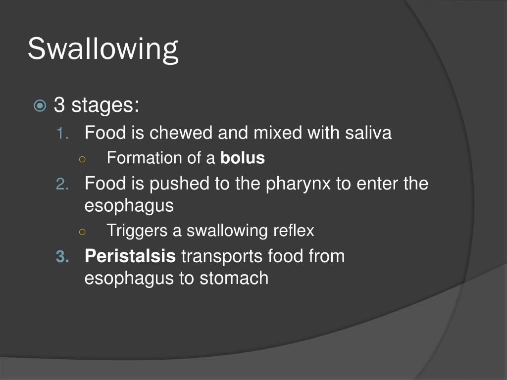 Chapter 17: The Digestive System PowerPoint Presentation, free ... Biology Diagrams