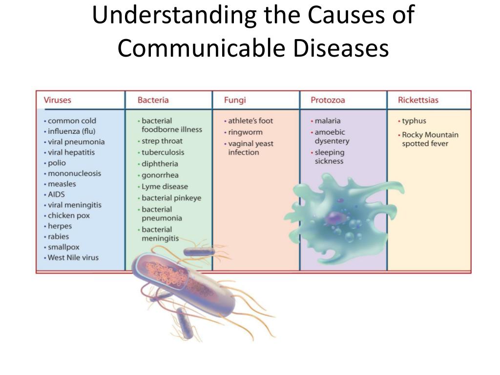 Ppt Chapter 23 Communicable Diseases Powerpoint Presentation Free