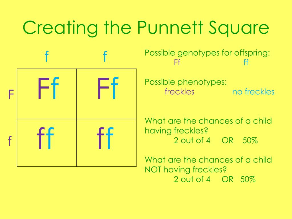 punnett-square-definition-and-examples-biology-online-dictionary