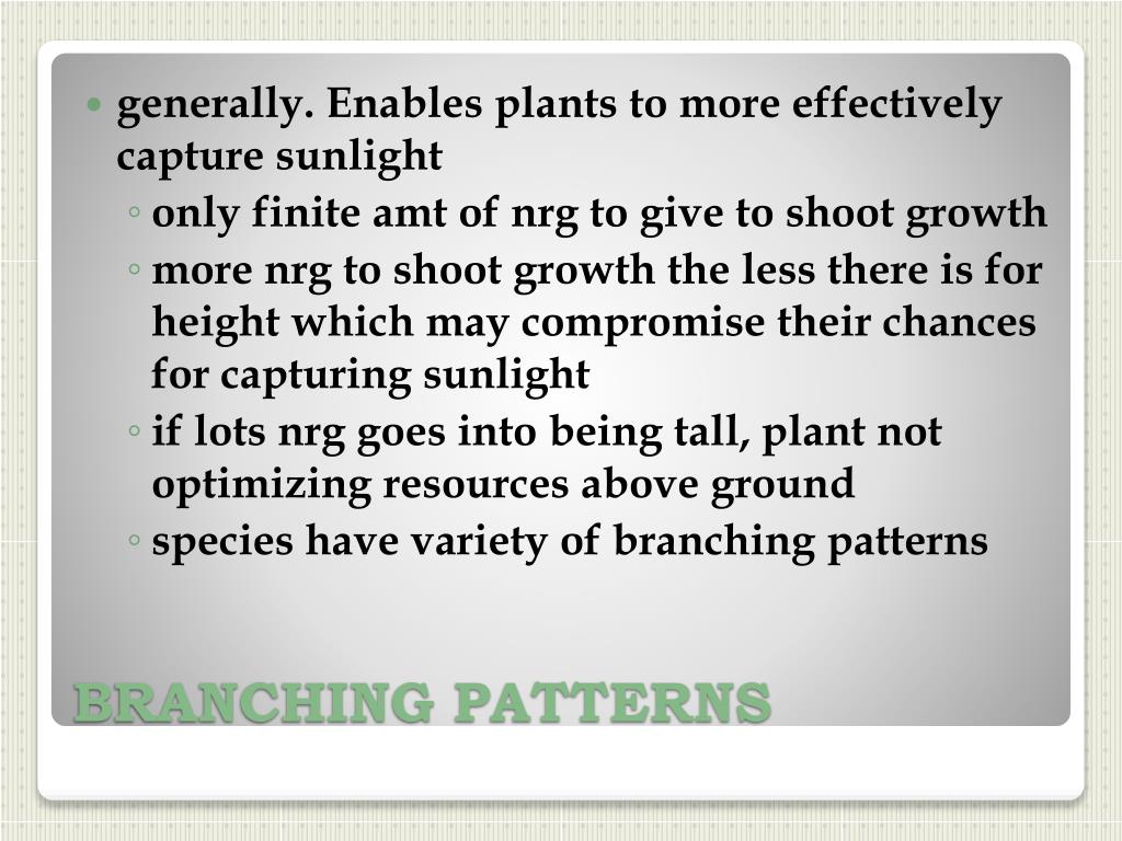 PPT - Resource Acquisition & Transport in Vascular Plants PowerPoint ...