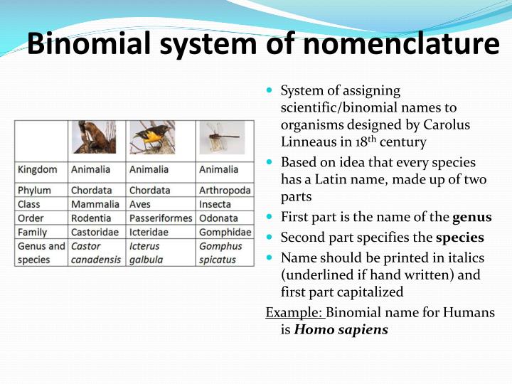 binomial system of nomenclature examples binomial nomenclature