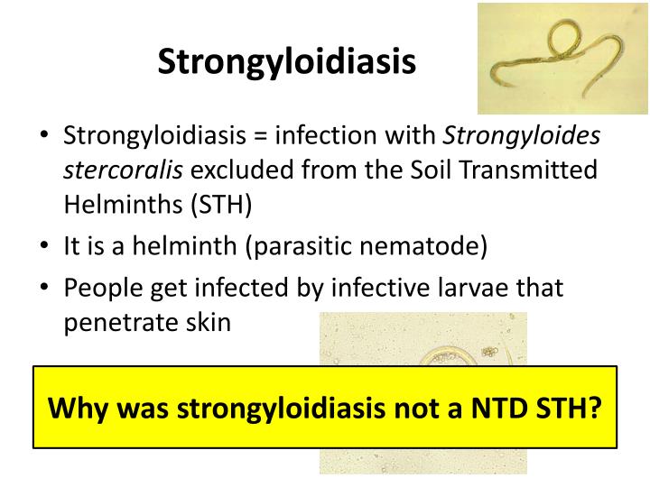 PPT - Don’t Neglect the NTDs! PowerPoint Presentation - ID:2160760