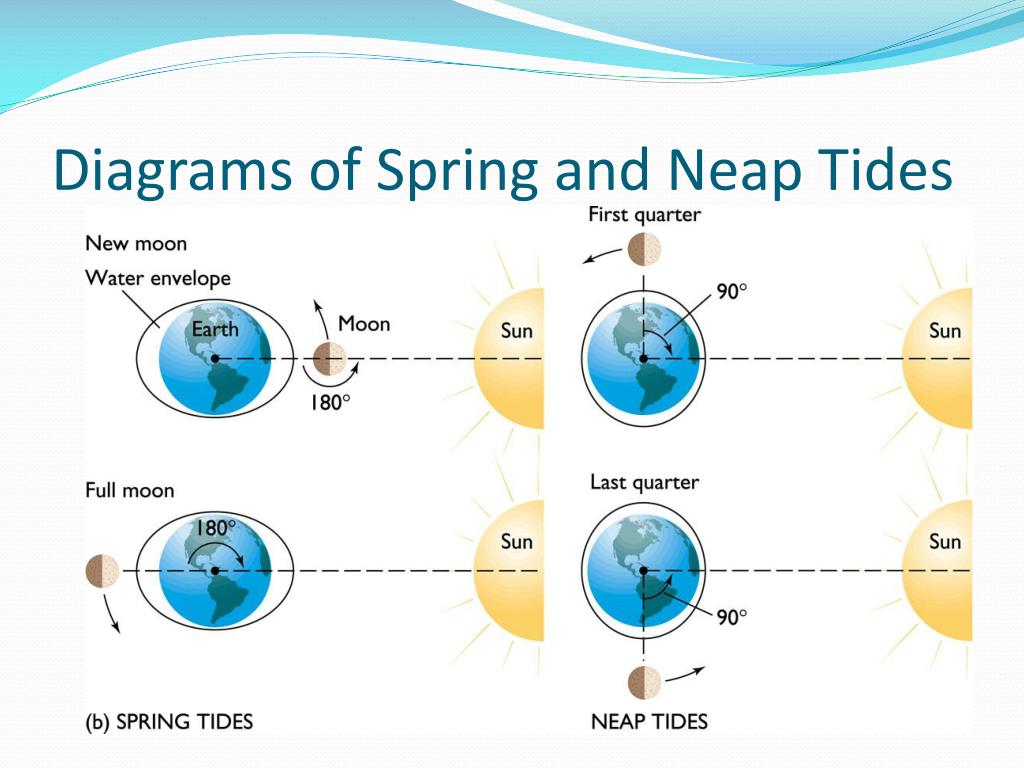 PPT Tides PowerPoint Presentation, free download ID2160892