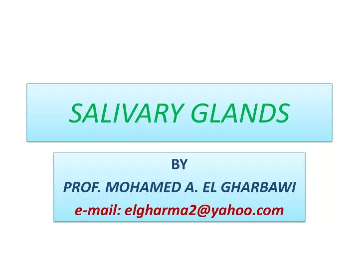 salivary glands n.