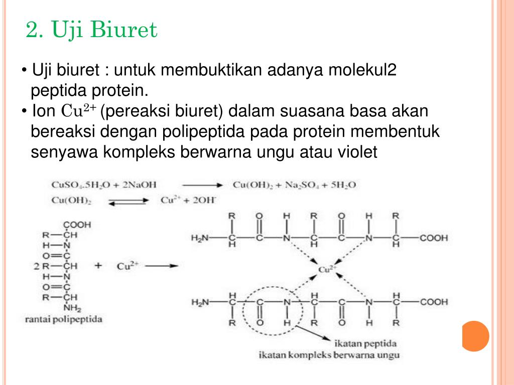 PPT - ANALISIS PROTEIN PowerPoint Presentation, free download - ID:2162379