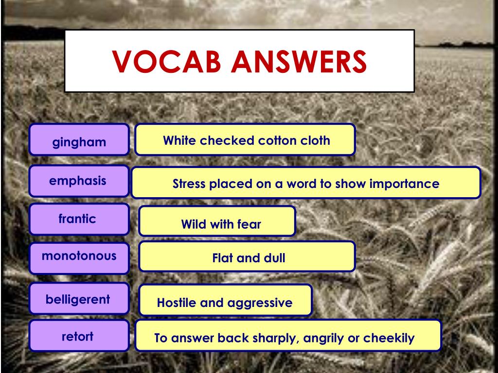 vocab answer vocab answer