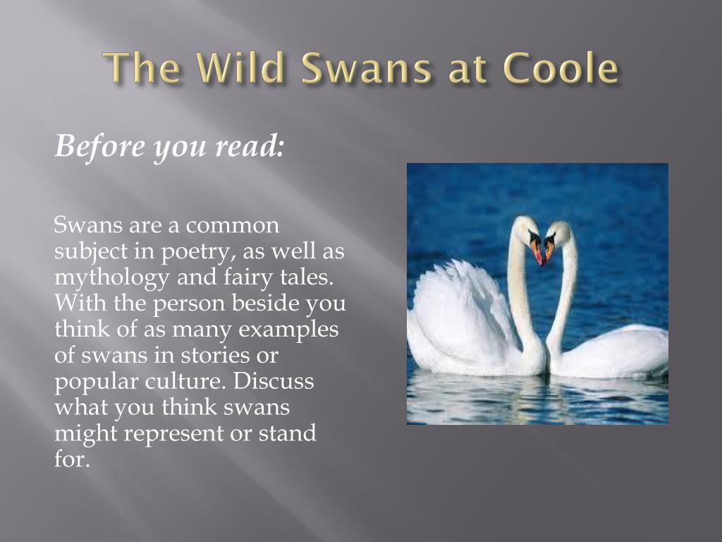 PPT - W.B. Yeats PowerPoint Presentation, free download - ID:2163331