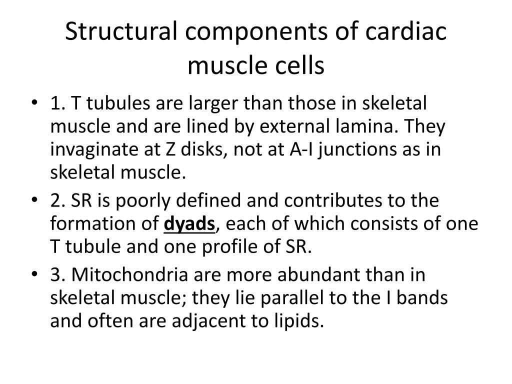 PPT - Muscle is classified into three types: skeletal, cardiac, and