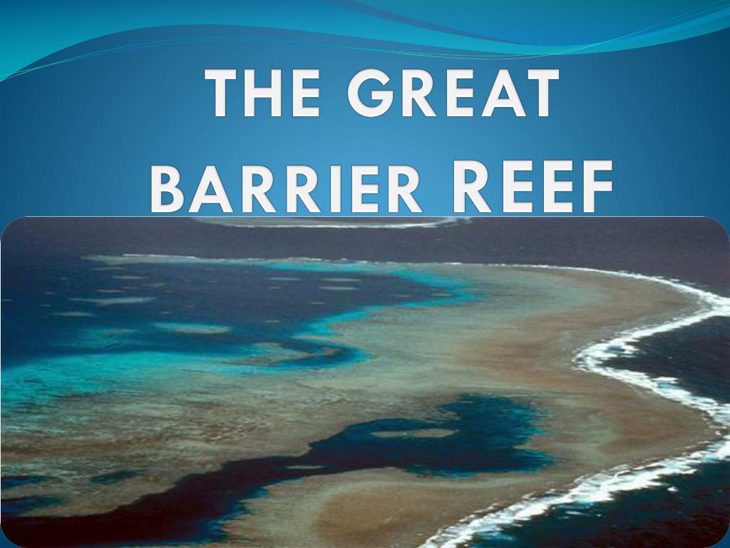 the great barrier reef powerpoint presentation