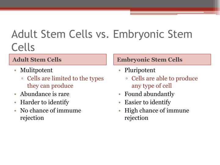 adult vs embryonic stem cells adult vs embryonic stem cells