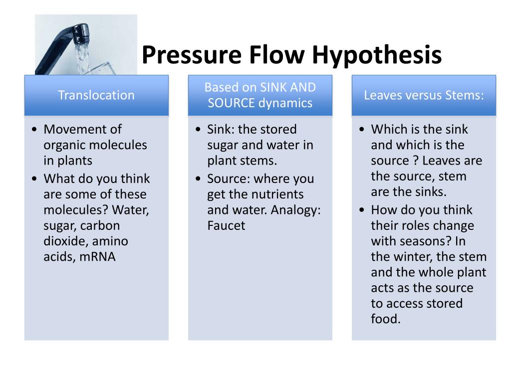 hypothesis of pressure flow