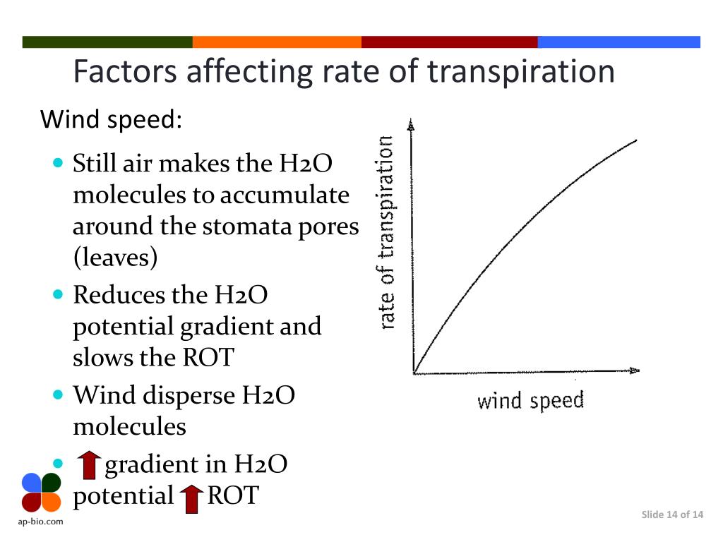 Effect rate. Transpiration rate. Фактор сжатия rate Factor. Wind Speed vs Wind Velocity. Wind Speed graph.