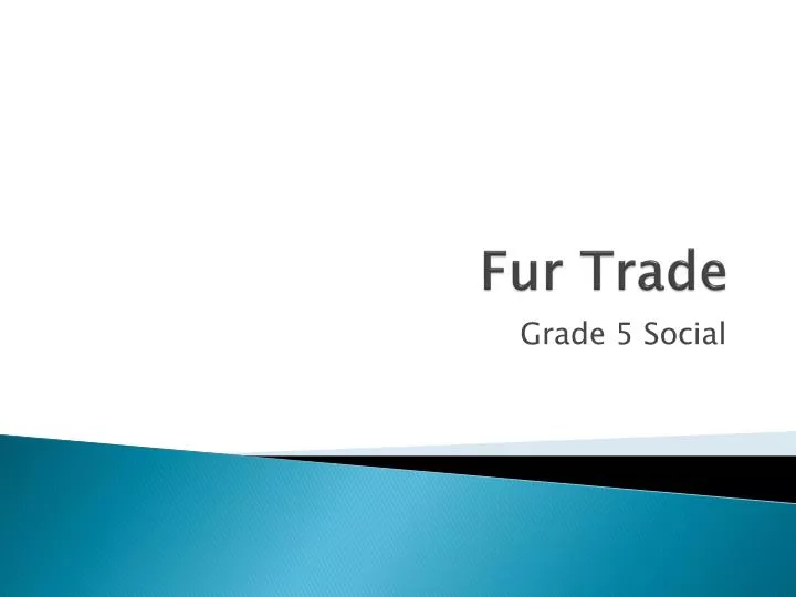 fur trade n.
