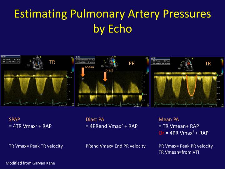 PPT - Role of the Echocardiogram in the Assessment of Pulmonary