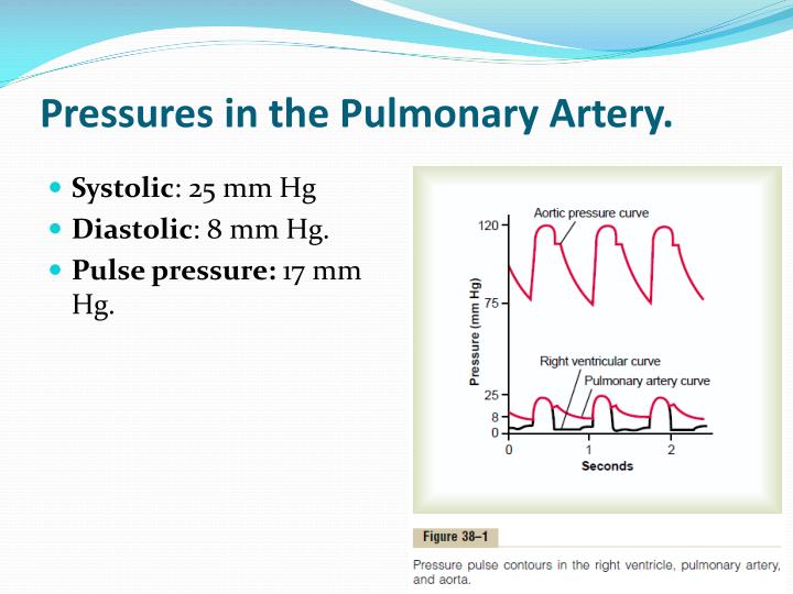 Blood Pressure In Occlusion At Rosetta Auyeung Blog blood-pressure-in-occlusion-at-rosetta-auyeung-blog