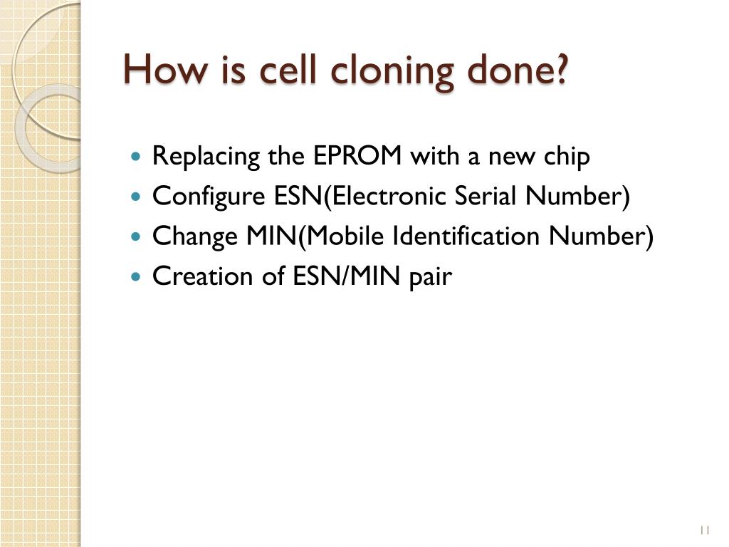 download patagonia cloning software free download download patagonia cloning software free download
