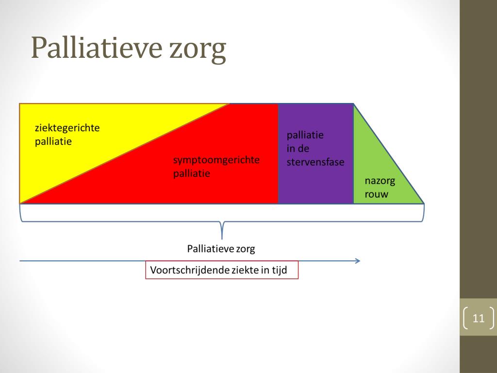 PPT - Verpleegkundige aspecten in de palliatieve zorg PowerPoint