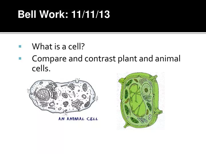 PPT - What is a cell? Compare and contrast plant and animal cells.  PowerPoint Presentation - ID:2166371