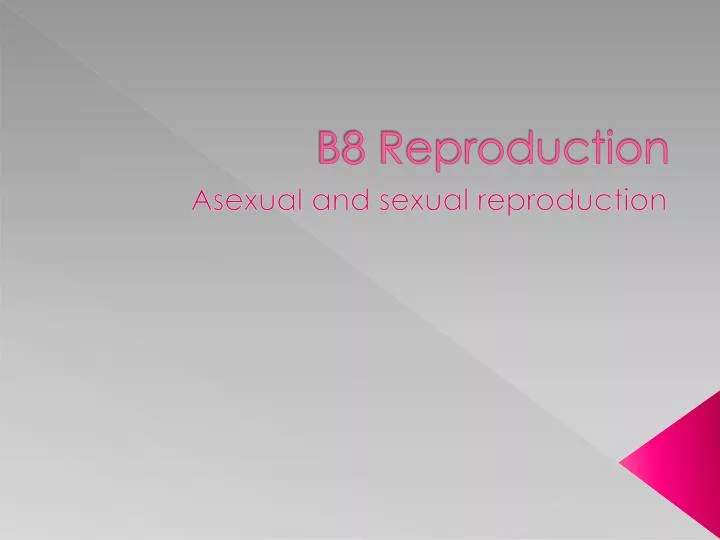 b8 reproduction n.