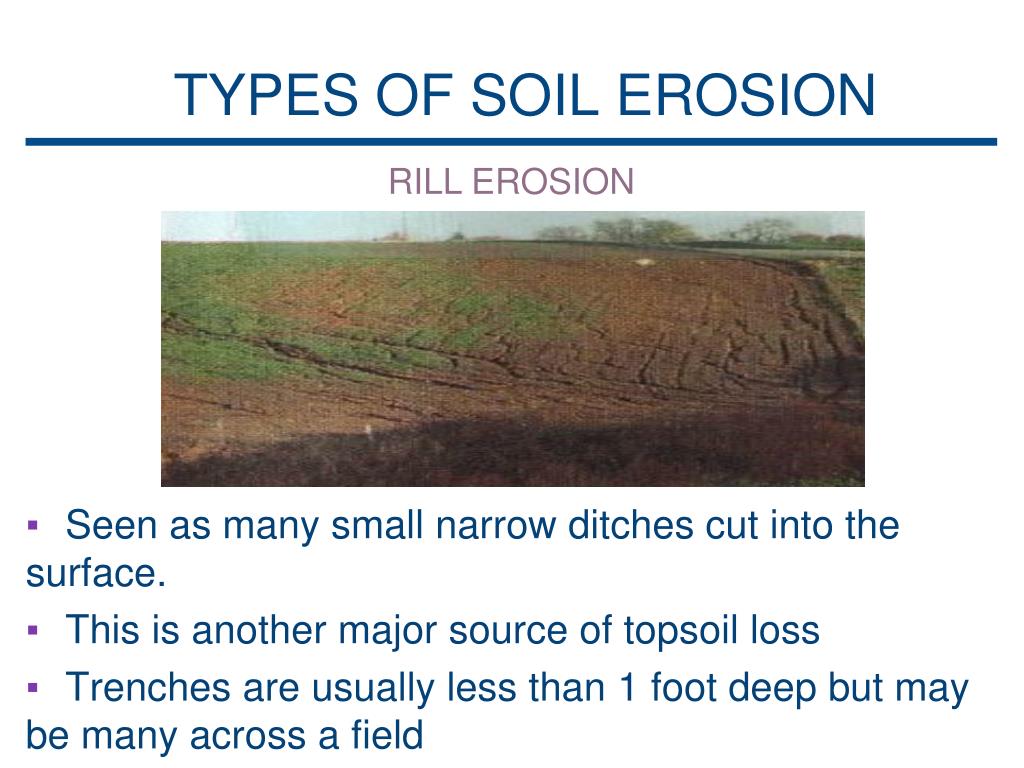PPT - SOIL EROSION on PEI PowerPoint Presentation, free download - ID ...