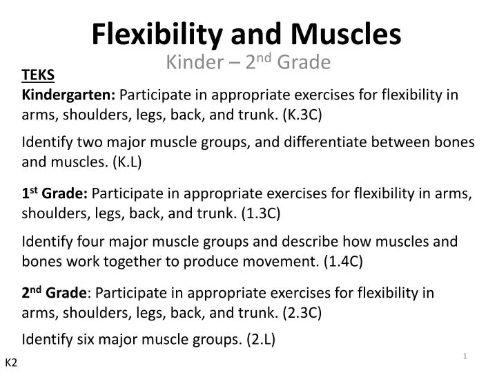 PPT - Flexibility And Muscles PowerPoint Presentation, Free Download ...