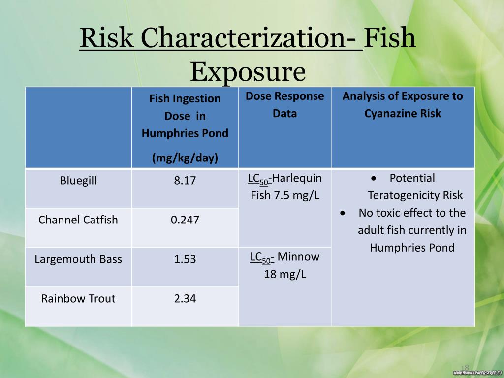 PPT - Welcome to the City of Ogallala Risk Analysis Meeting PowerPoint ...