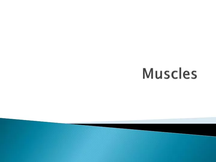 PPT Muscles PowerPoint Presentation, free download ID2167247