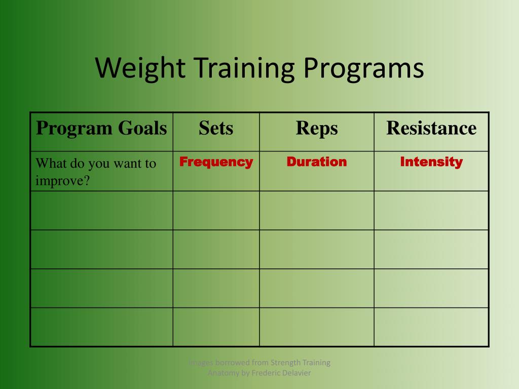 PPT - Personal Fitness II The Muscle Groups PowerPoint Presentation ...