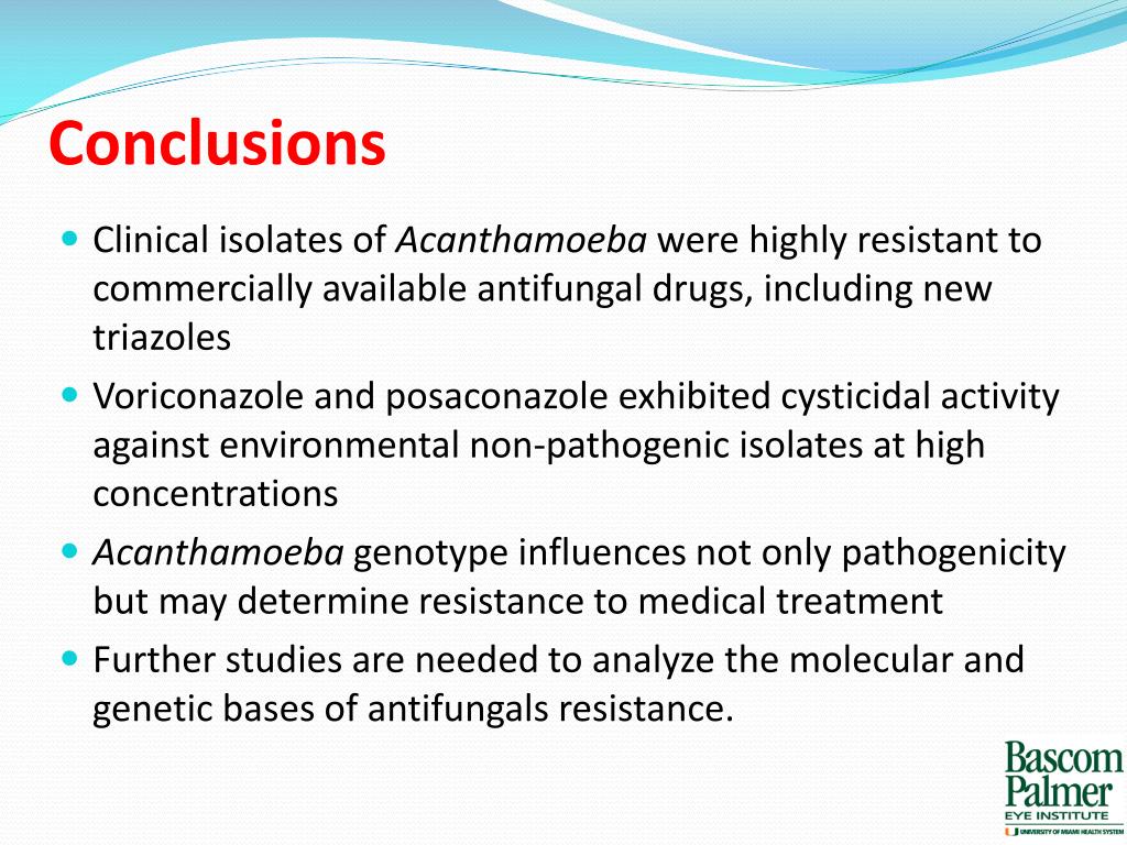 PPT In vitro susceptibility of Acanthamoeba to antifungal drugs PowerPoint Presentation ID