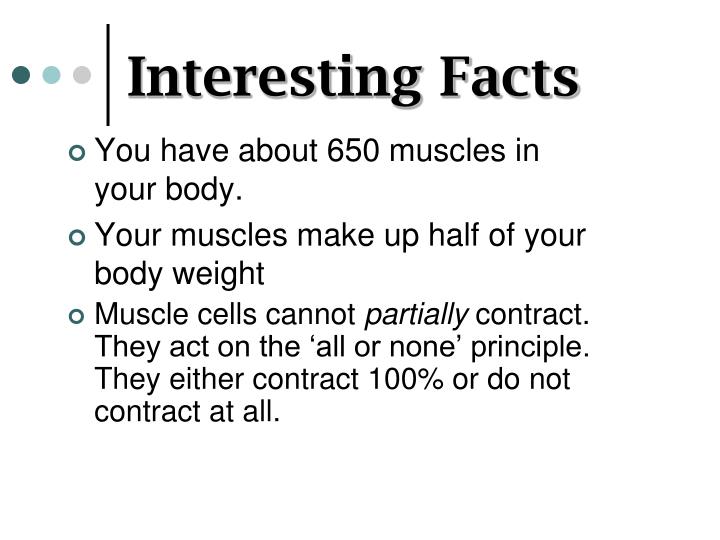 muscles all or none principle muscles all or none principle