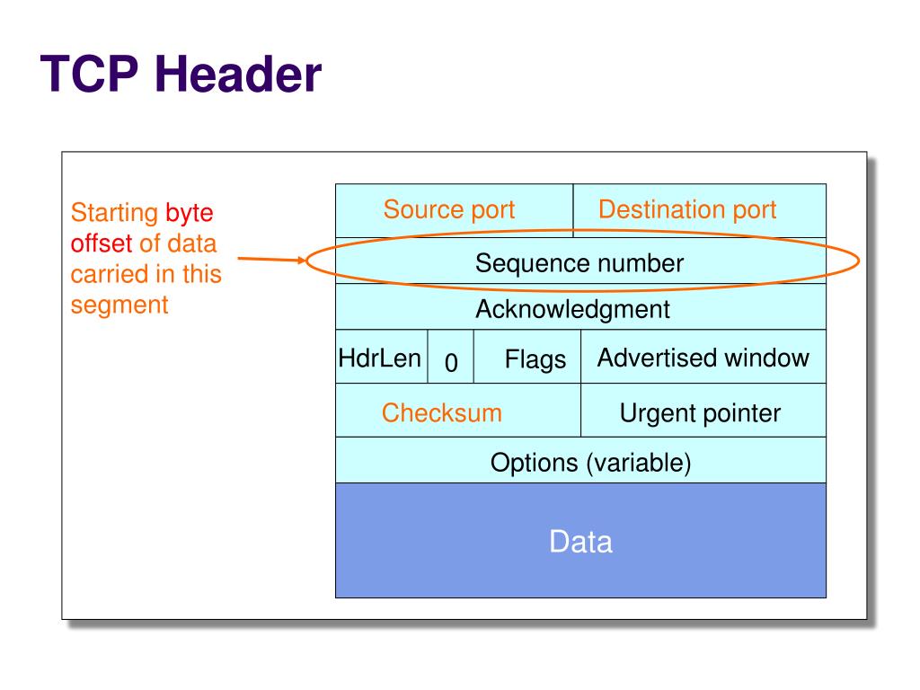PPT - TCP PowerPoint Presentation, free download - ID:2167645
