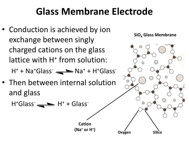 PPT Potentiometry and the Detection of Fluoride PowerPoint