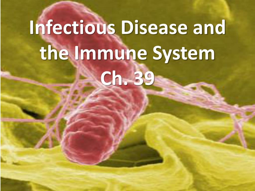 PPT - Infectious Disease and the Immune System Ch. 39 PowerPoint ...