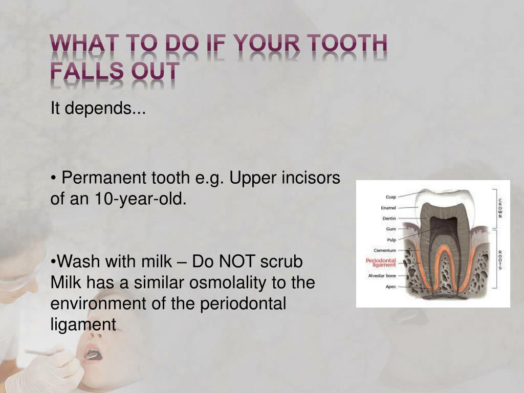 PPT - Improving Oral Health of Indian Immigrant Children in Our ...