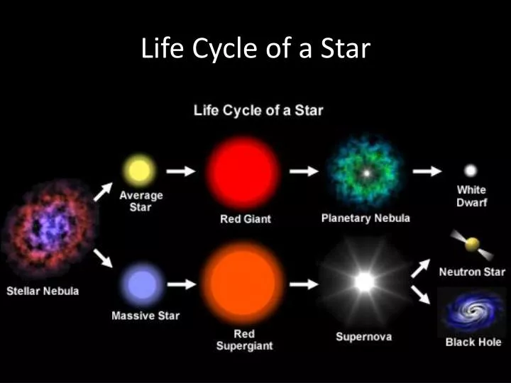 The Star Life Cycle
