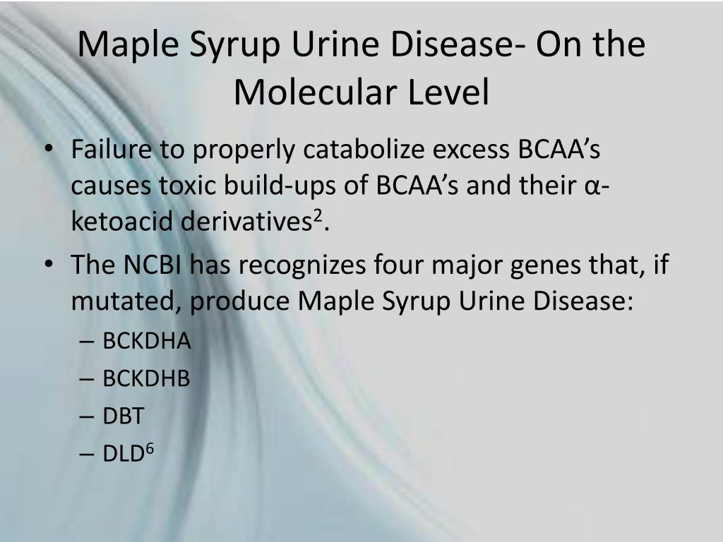 maple syrup urine disease icd 10