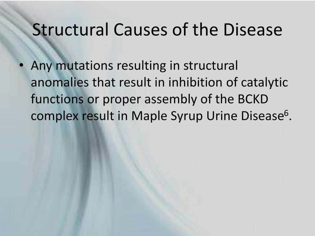 PPT Classic Severe Maple Syrup Urine Disease PowerPoint Presentation