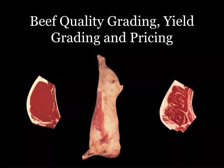 PPT Beef Quality Grading, Yield Grading and Pricing PowerPoint Presentation ID2169662