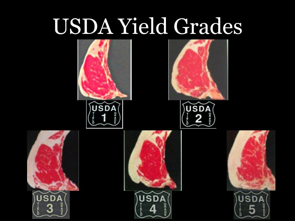 Usda Meat Grade Chart Usda Meat Grade Chart