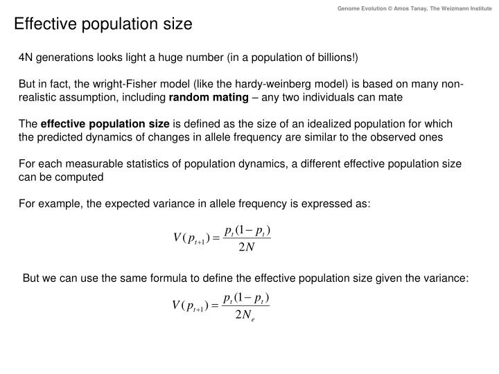 ppt genome evolution powerpoint presentation id 2169833 effective population size definition