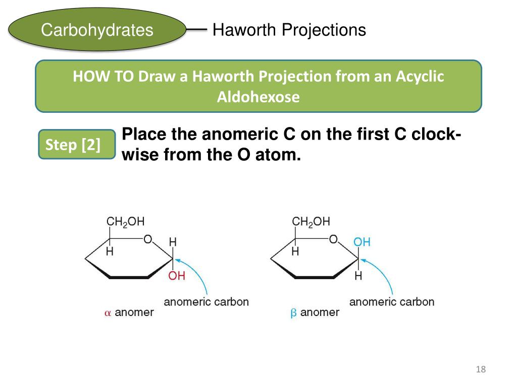 PPT - CHAPTER 20: Carbohydrates General, Organic, & Biological ...