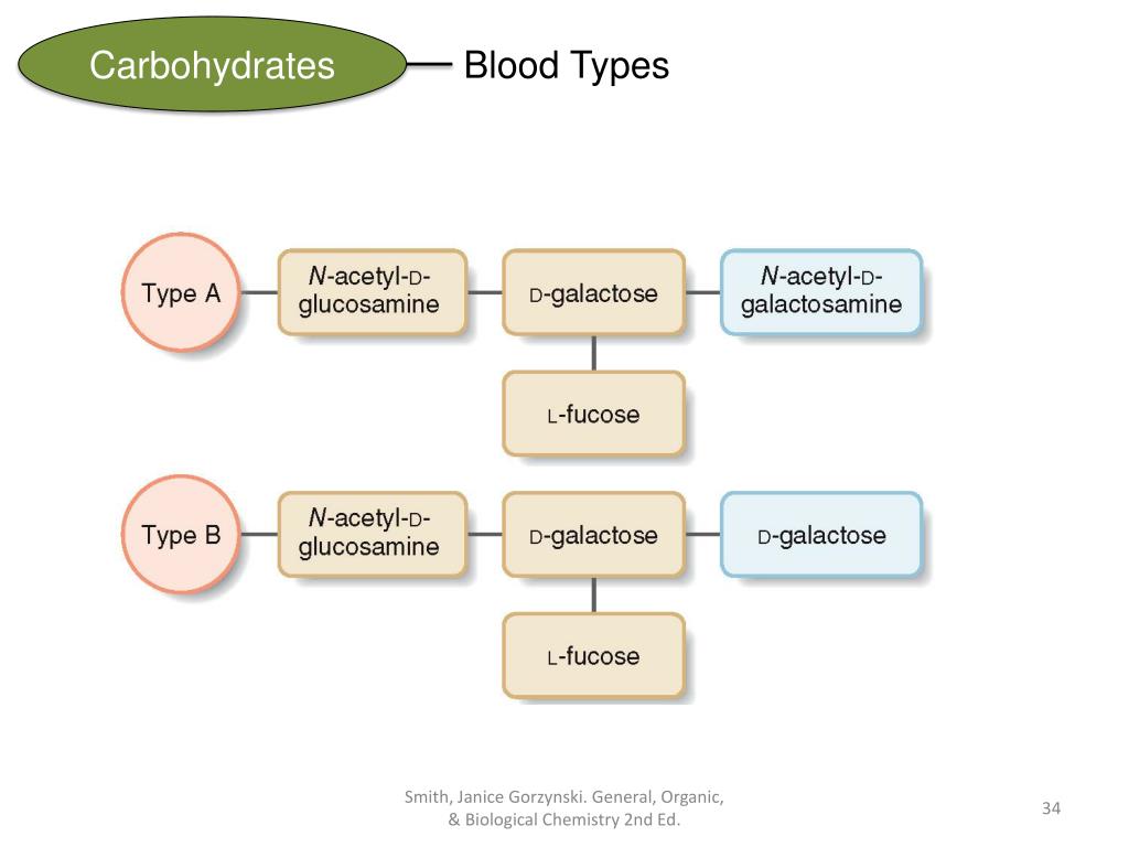 PPT CHAPTER 20 Carbohydrates General, Organic, & Biological