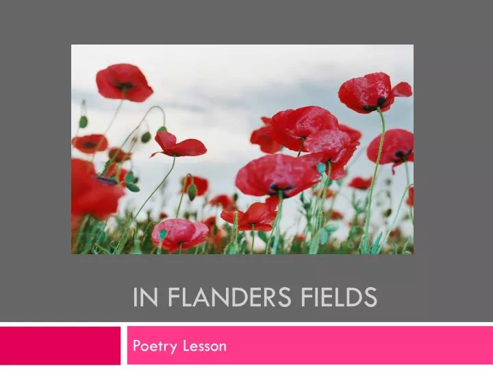PPT In Flanders Fields PowerPoint Presentation, free download ID