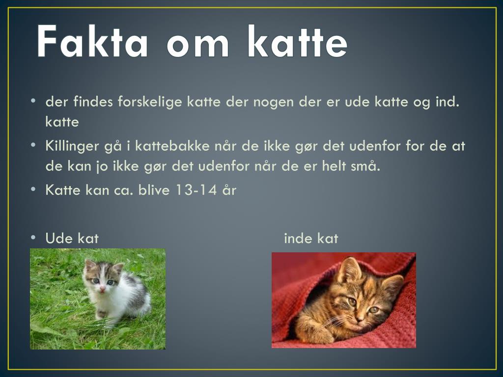 PPT - katte Presentation - ID:2169911