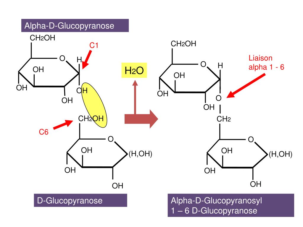 Ch2 oh ch2 oh класс соединений. Идопираноза Альфа. A D идопираноза. Альфа d арабинофураноза. Α- D- арабинофураноза.