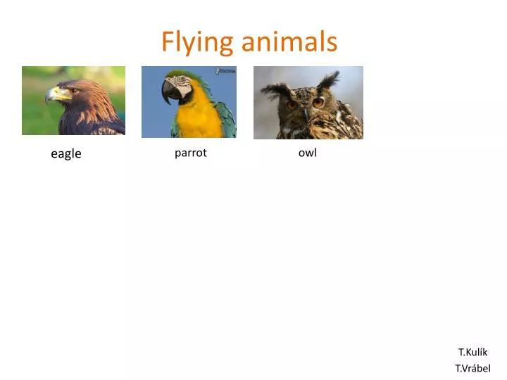 air animals with names